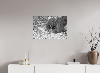 Ânes Gorges d'Ikiss