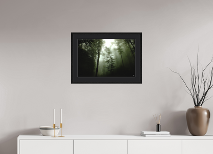 60 x 40 cm, Cadre Noir PP Noir - Photo Couleur Promenons nous dans les bois