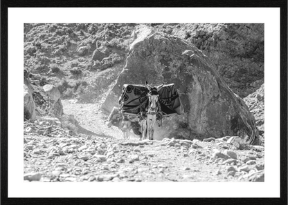 Ânes Gorges d'Ikiss